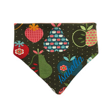 Lade das Bild in den Galerie-Viewer, Buntes individuelles Babyhalstuch mit Name bestickt - Obst