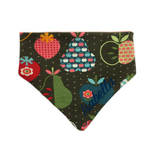 Lade das Bild in den Galerie-Viewer, Buntes individuelles Babyhalstuch mit Name bestickt - Obst