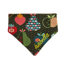 Lade das Bild in den Galerie-Viewer, Buntes individuelles Babyhalstuch mit Name bestickt - Obst