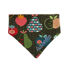 Lade das Bild in den Galerie-Viewer, Buntes individuelles Babyhalstuch mit Name bestickt - Obst