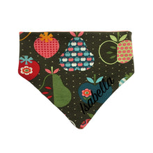 Lade das Bild in den Galerie-Viewer, Buntes individuelles Babyhalstuch mit Name bestickt - Obst